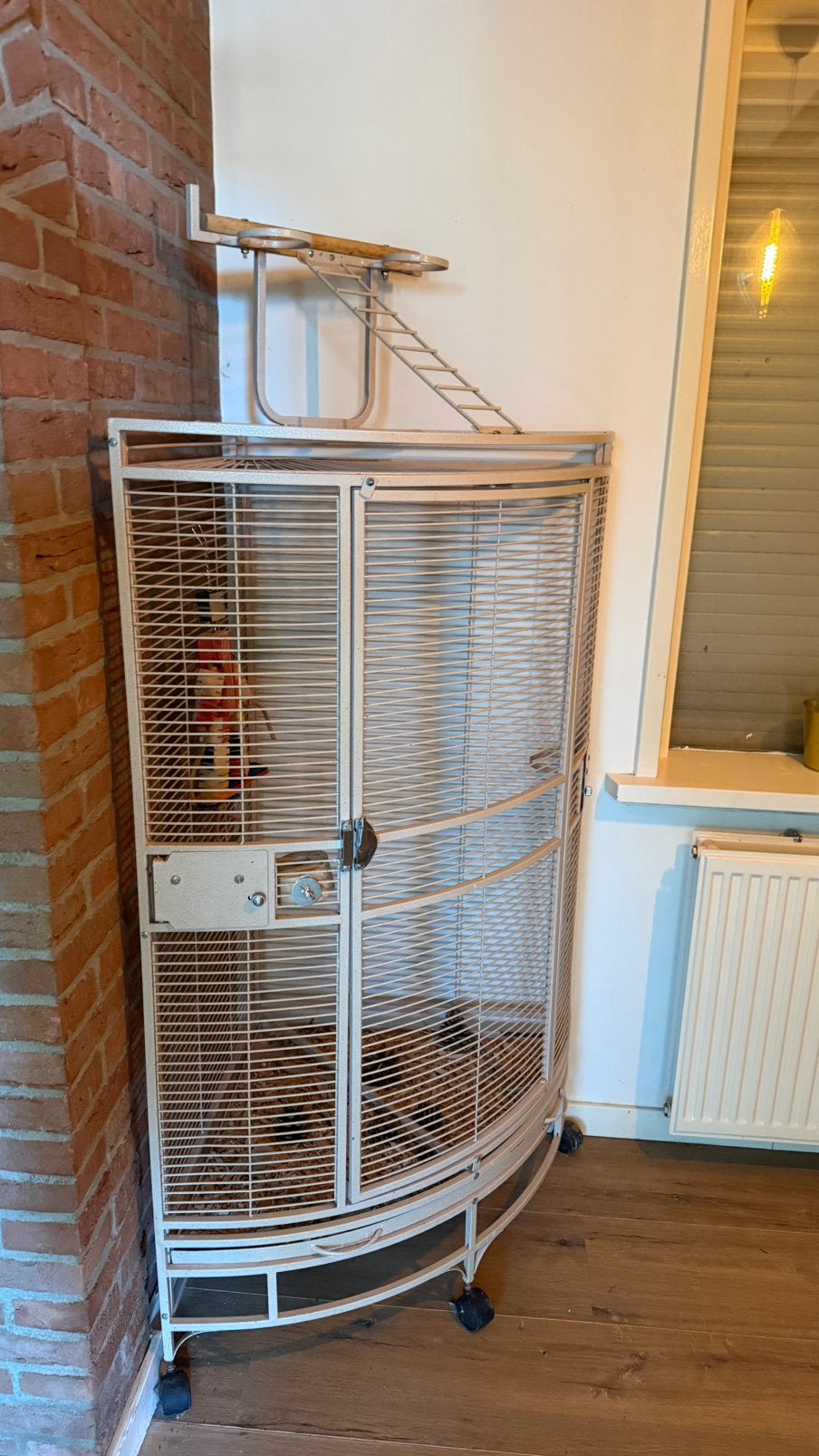 Papegaai koi, Ophalen of Verzenden, Zo goed als nieuw, Metaal, Vogelkooi