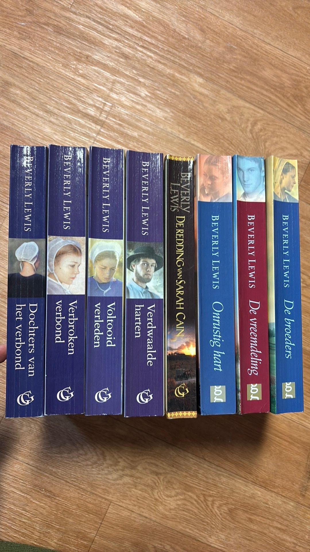 Beverly Lewis 8x - oa Dochters van het verbond, Annie’s Volk, Ophalen of Verzenden, Gelezen, Nederland