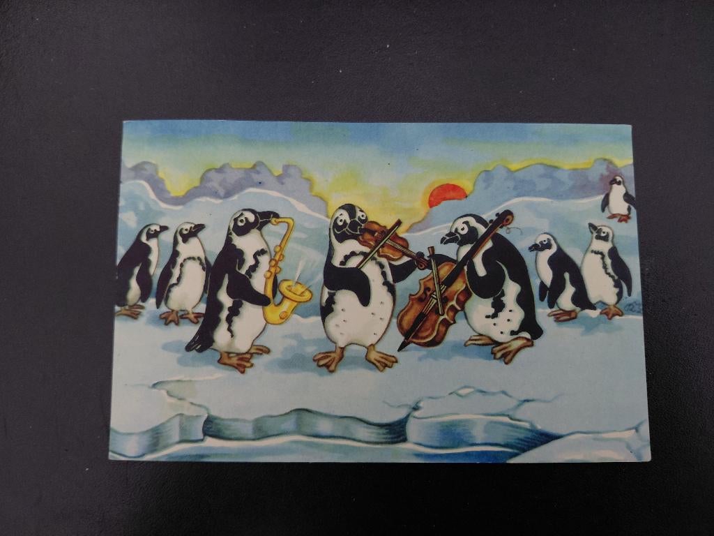 Pinguïns maken muziek, orkest op ijsschots, gelopen., Verzenden, 1960 tot 1980, Gelopen, Vogel