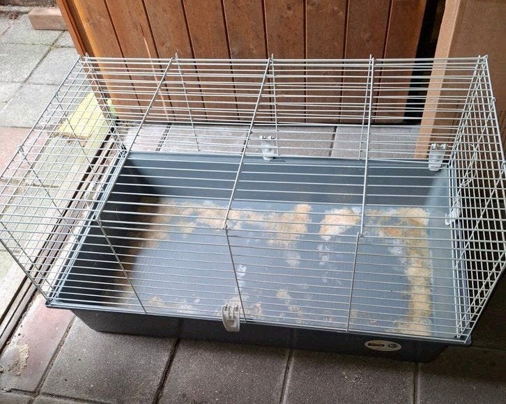 Cavia /konijn hok, Dieren en Toebehoren, Knaagdieren en Konijnen | Hokken en Kooien, Ophalen, Hok, Konijn, Minder dan 60 cm