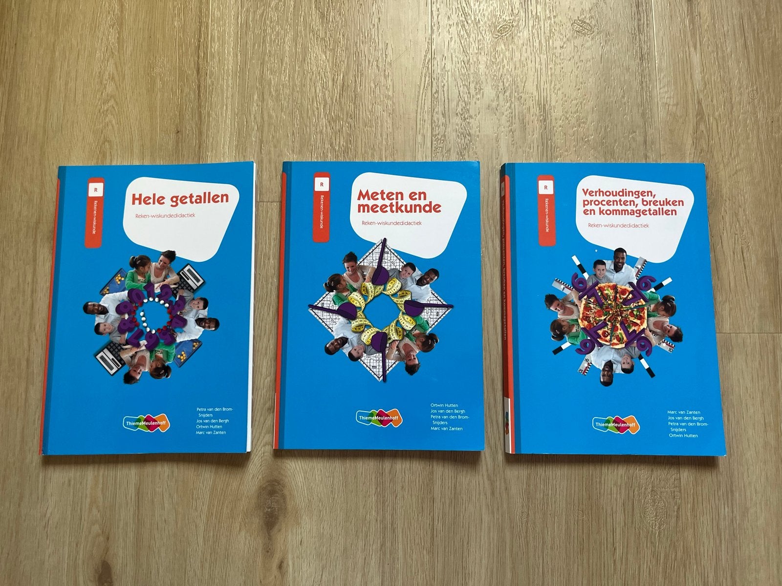 Pabo Studieboeken Wiskunde: Hele getallen, Meten, Verhouding, Ophalen of Verzenden, Beta, Zo goed als nieuw, HBO