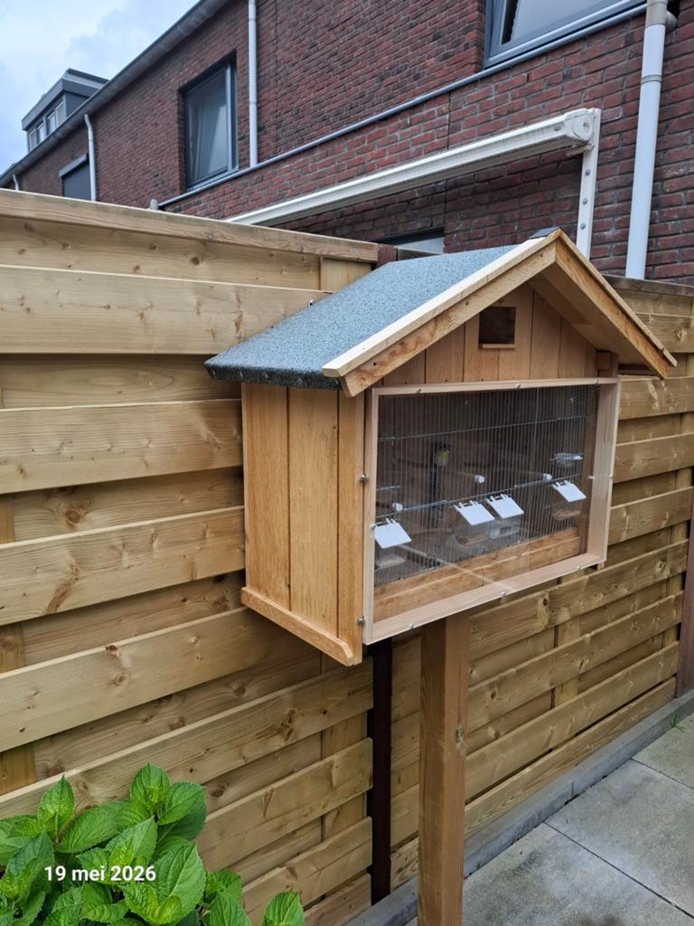 Houten kooi eikenhout, Dieren en Toebehoren, Vogels | Hokken en Kooien, Ophalen, Nieuw, Hout, Volière
