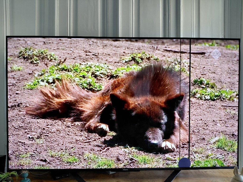 Kapotte tv, 65", Hisense, 120 Hz, 100 cm of meer, 4k (UHD), Ophalen