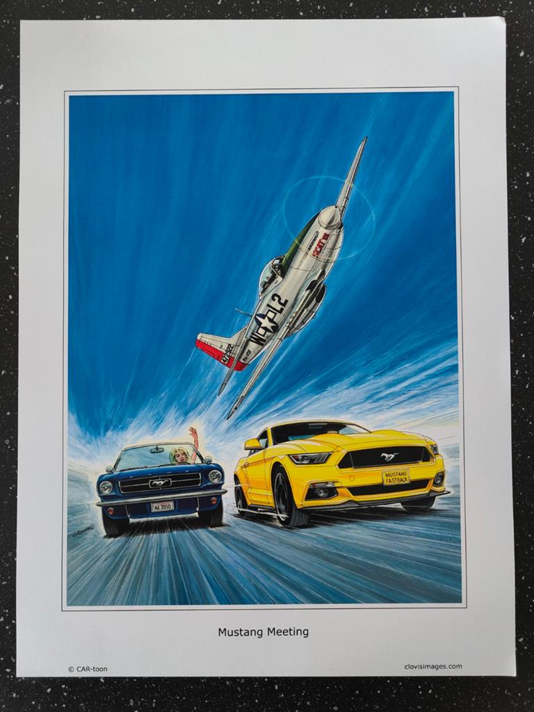 Poster Mustang Meeting, Ophalen of Verzenden, Kaart, Foto of Prent