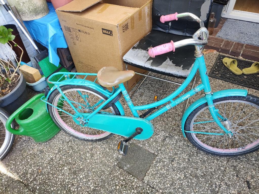 20 inch ALPINA kinder fiets, Ophalen, Gebruikt, 20 inch