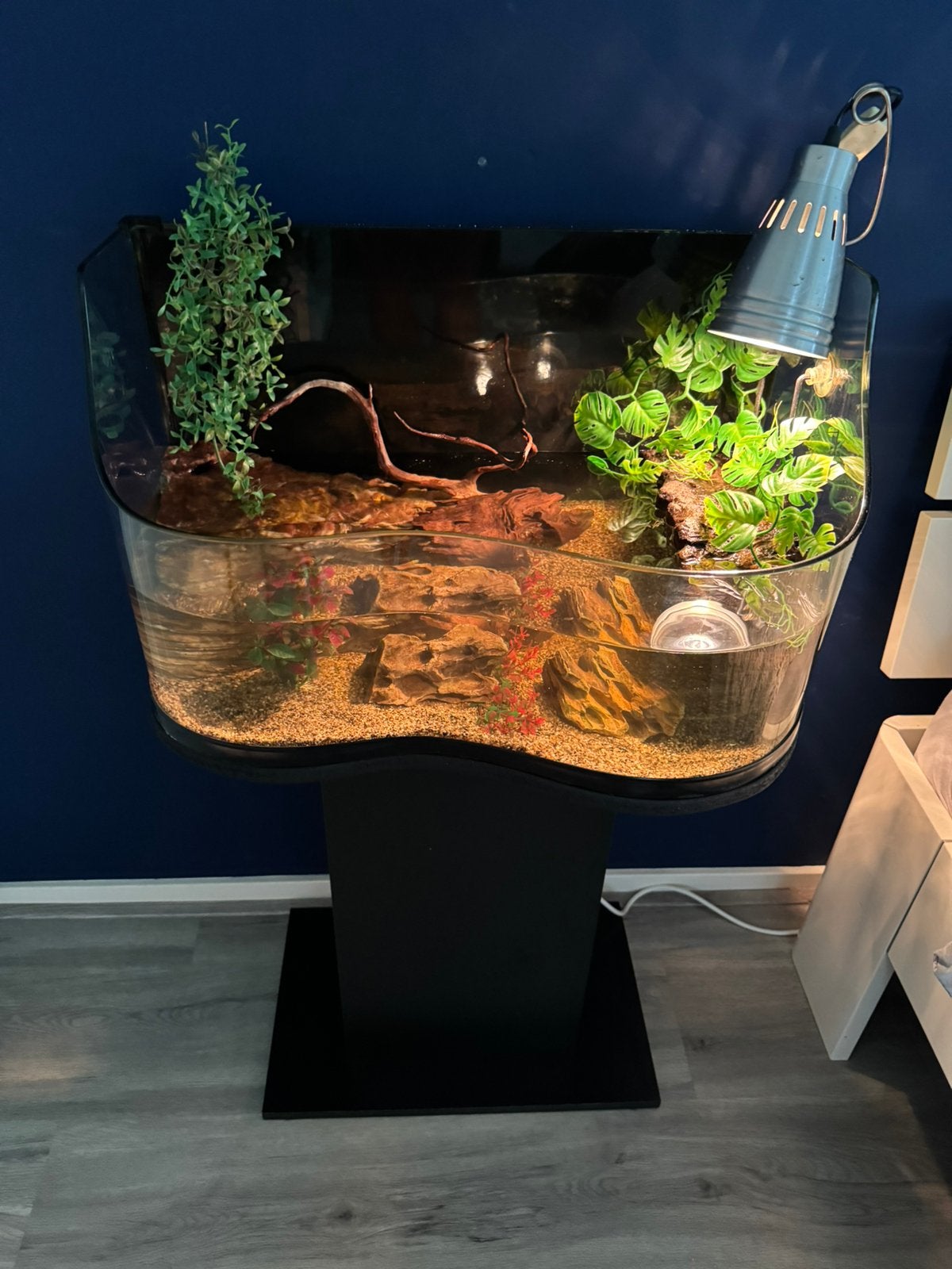Schildpad verblijf, Dieren en Toebehoren, Ophalen of Verzenden, Zo goed als nieuw, Terrarium of Paludarium