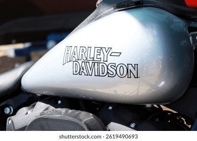 GEZOCHT!! Harley Davidson peanut sportster tank, Motoren, Ophalen of Verzenden, Gebruikt