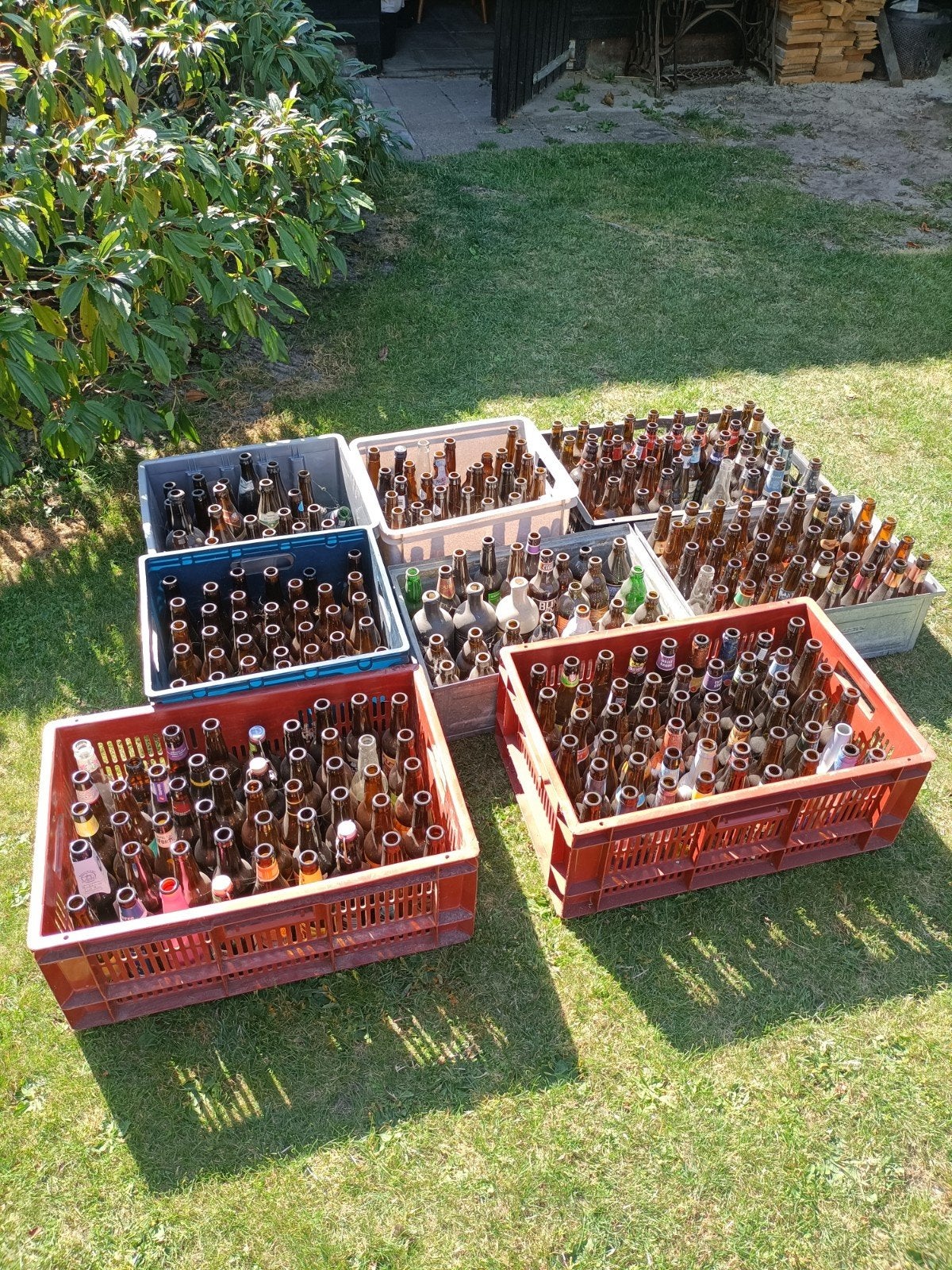 Grote verzameling speciaalbierflessen voor decoratie, Verzamelen, Ophalen, Gebruikt