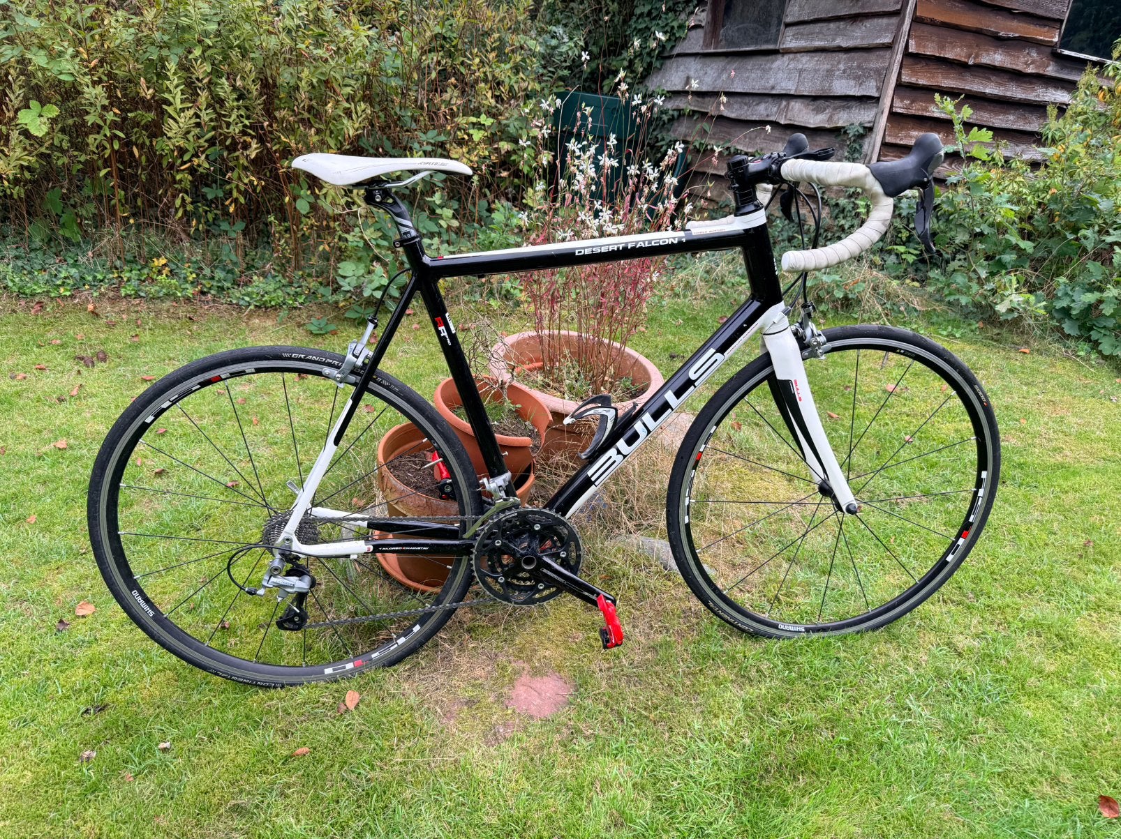 Bulls Desert Falcon 1 – Shimano Ultegra – framemaat 60 cm, 28 inch, Gebruikt, Aluminium, 57 tot 61 cm