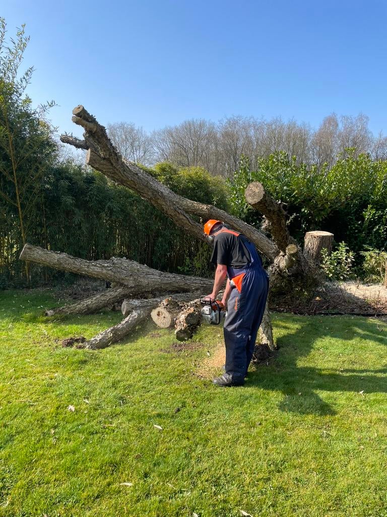 Gratis bomen zagen/kappen in ruil voor haardhout, Tuin en Terras, Haardhout, Ophalen, Stammen