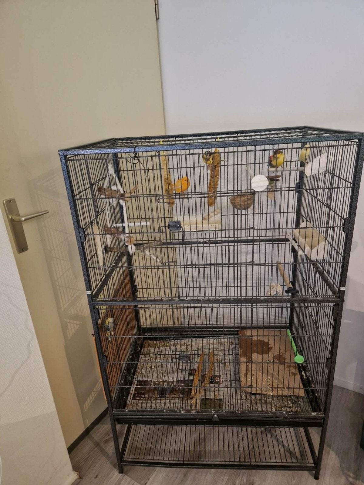 Grote stevige kooi met 4 kanaries, Dieren en Toebehoren, Ophalen, Gebruikt, Metaal, Vogelkooi