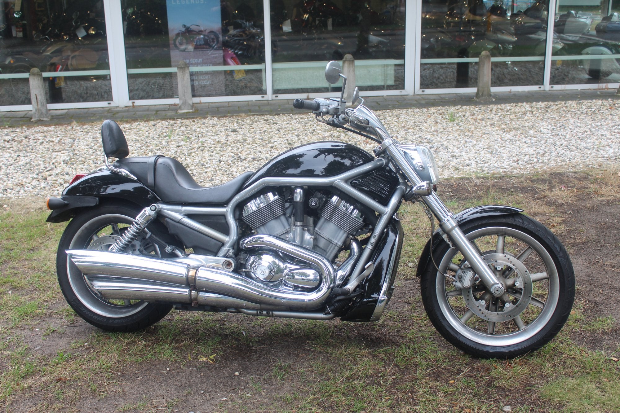 Harley-Davidson V-Rod V-ROD, Motoren, Motoren | Harley-Davidson, Chopper, Bedrijf, Meer dan 35 kW, 1131 cc