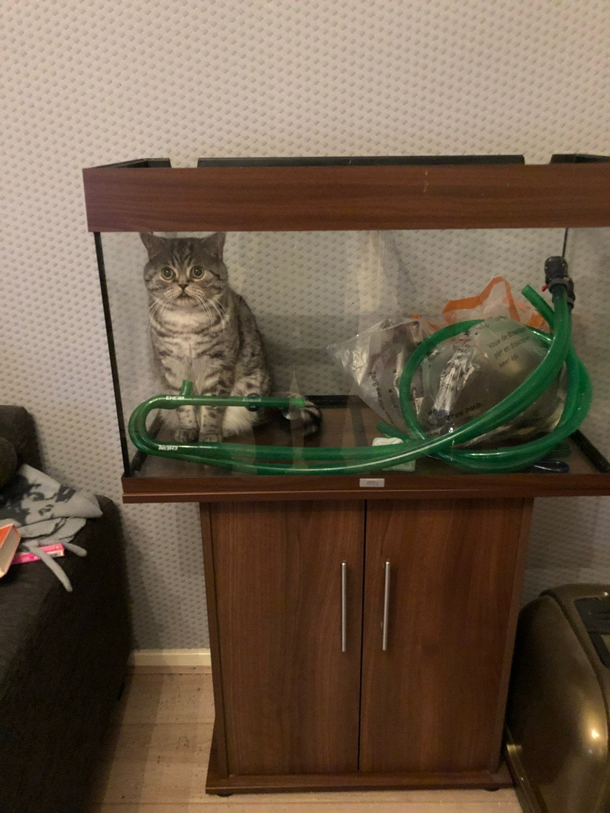 Rio 125 aquarium met extern filter, Dieren en Toebehoren, Vissen | Aquaria en Toebehoren, Gebruikt, Inclusief deksel, Ophalen of Verzenden