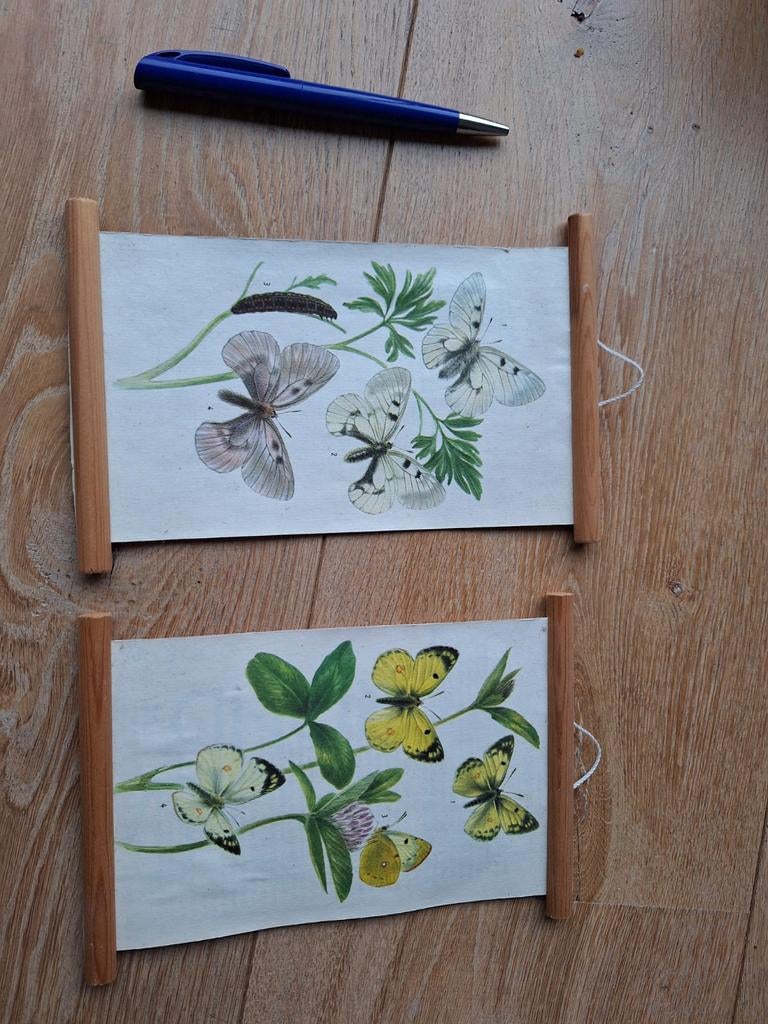 2 kleine schilderijtjes met vlinders, Ophalen of Verzenden