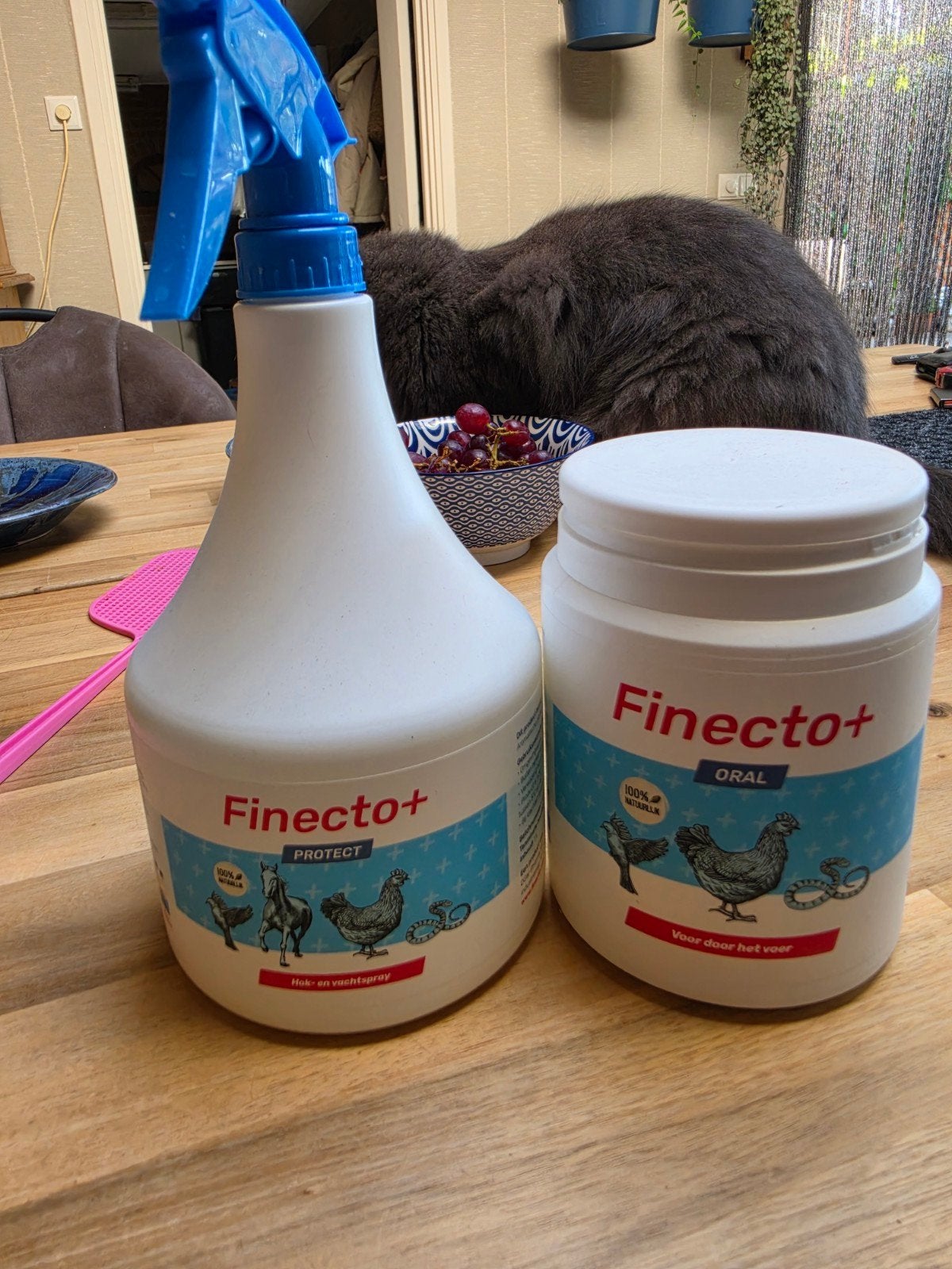 finecto tegen bloedluis kippen, Kip