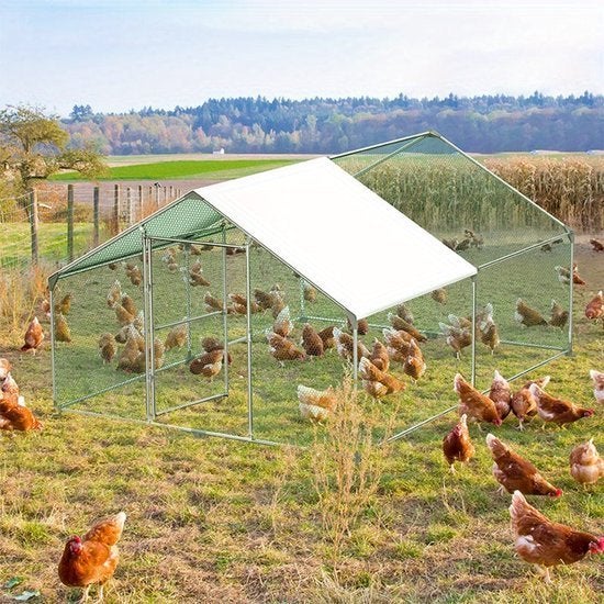 Buitenren Kleine Dieren – Kippenren – Konijnenren, Corvance B.V., Verzenden, Nieuw, Corvancebol@gmail.com
