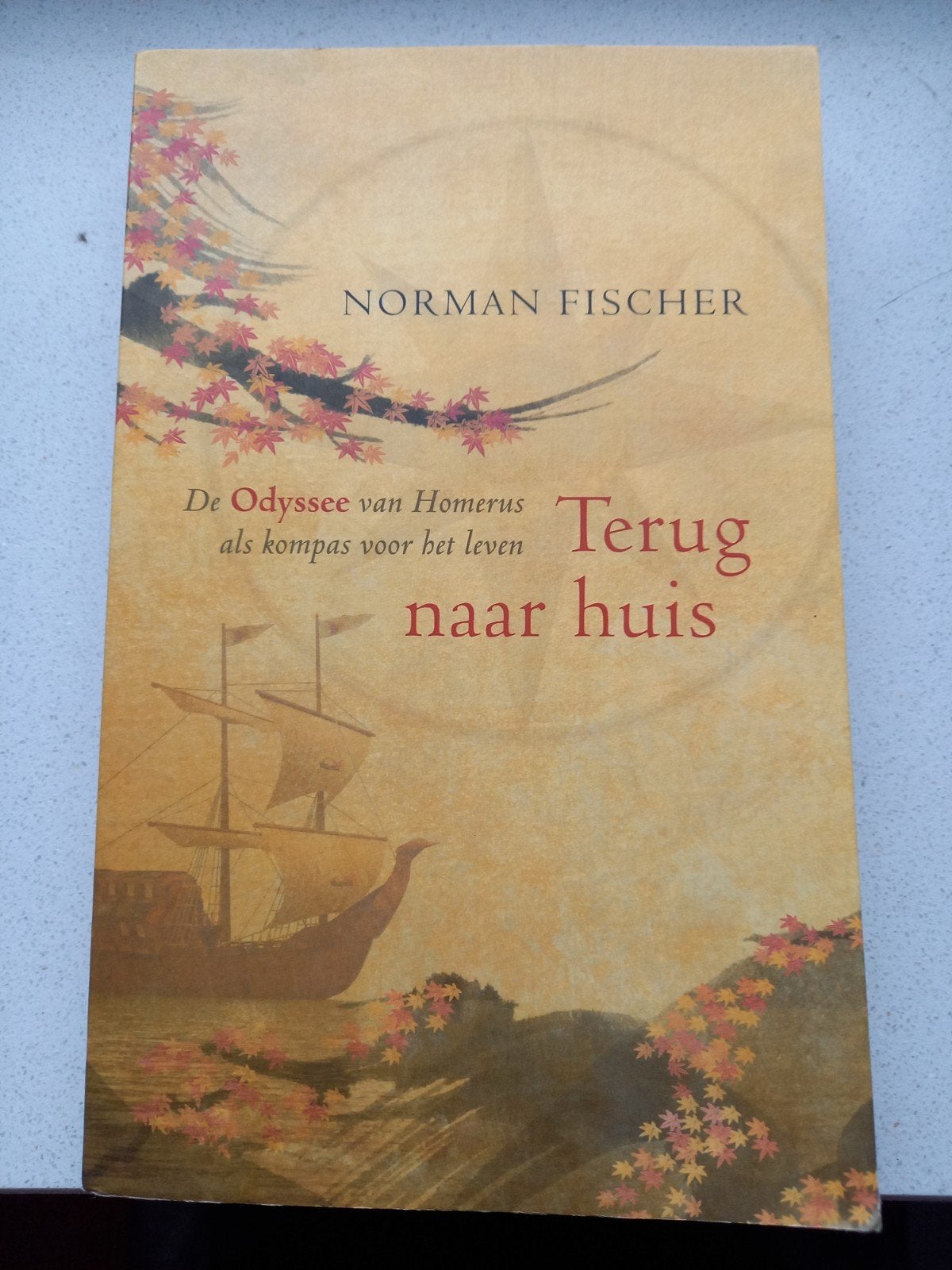 Terug naar huis - De Odyssee van Homerus als kompas, Ophalen of Verzenden, Zo goed als nieuw, Norman Fischer, Nederland
