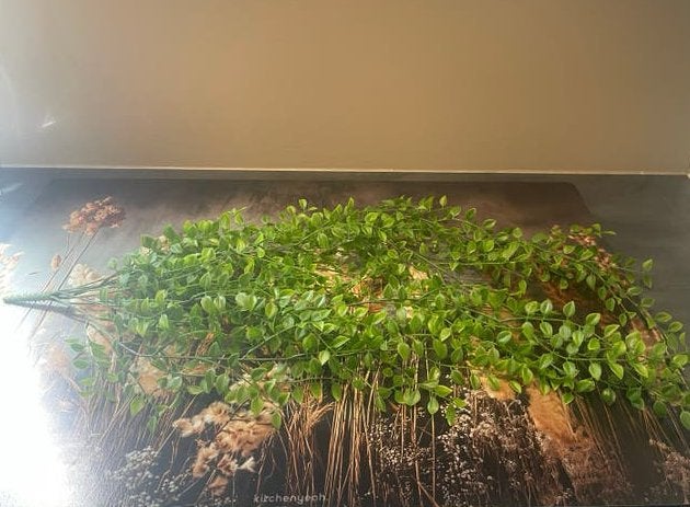 Mica decorations kunst hangplant "Ficus"., Huis en Inrichting, Ophalen of Verzenden