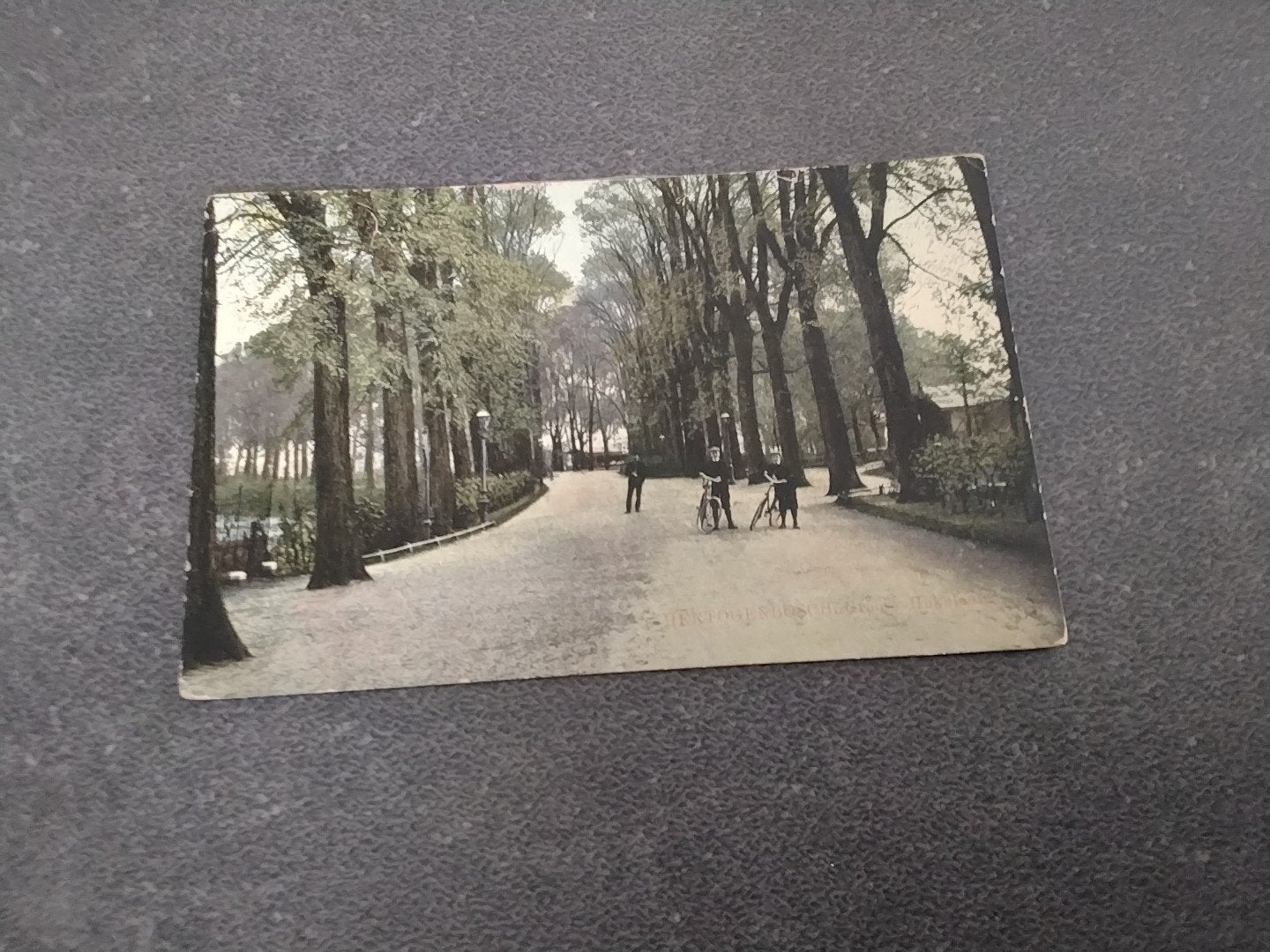s' Hertogenbosch Hekelaan 1916, Verzenden, Voor 1920, Gelopen, Noord-Brabant