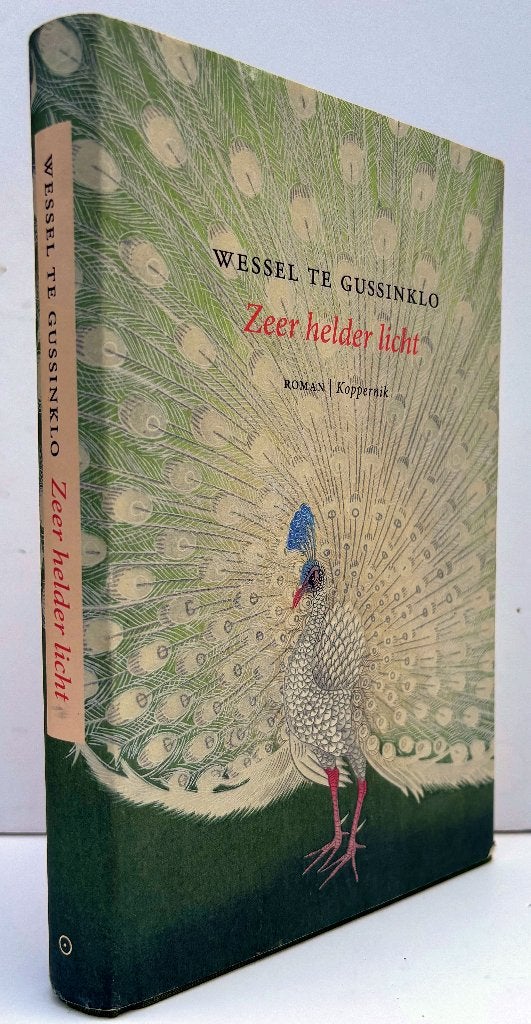 Gussinklo, Wessel te - Zeer helder licht (2024), Boeken, Ophalen of Verzenden, Nieuw