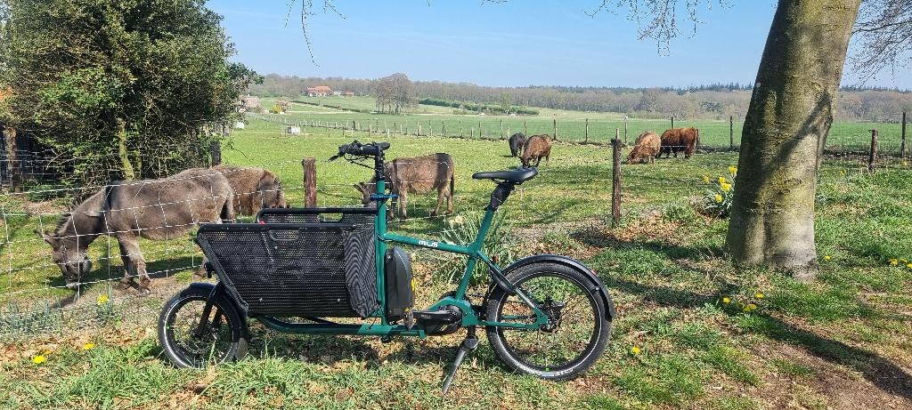 Muli ST Pro Pinetree Green cargobike, Muli Cycles, Nieuw, Info@cafecadans.nl, 2 kinderen