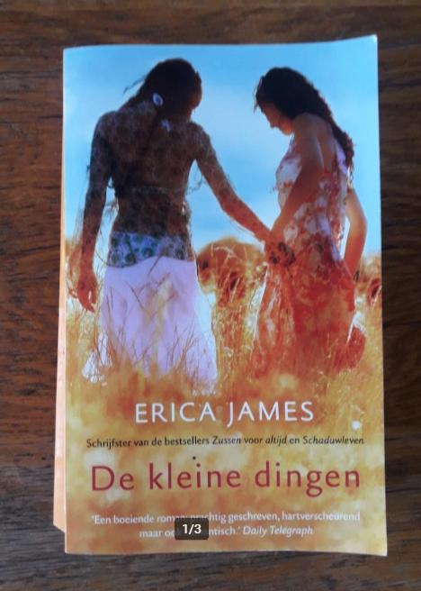 De kleine Dingen, Erica James., Europa overig, Ophalen of Verzenden, Zo goed als nieuw, Erica James