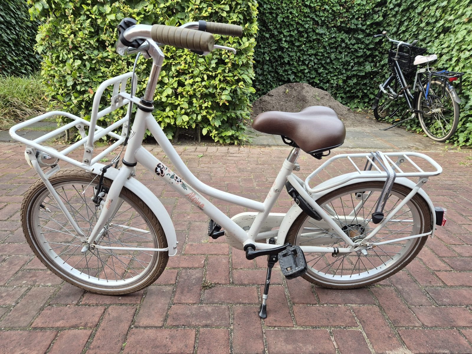 Alpina fiets 20 inch met voordrager en terugtraprem, Ophalen, Gebruikt, Terugtraprem, 20 inch