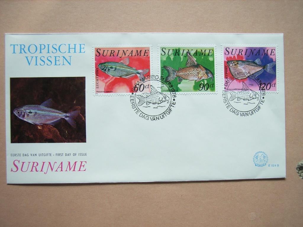 BrB  Suriname FDC 24-B, Postzegels en Munten, Postzegels | Eerstedagenveloppen, Ophalen of Verzenden, Onbeschreven, Rest van de wereld