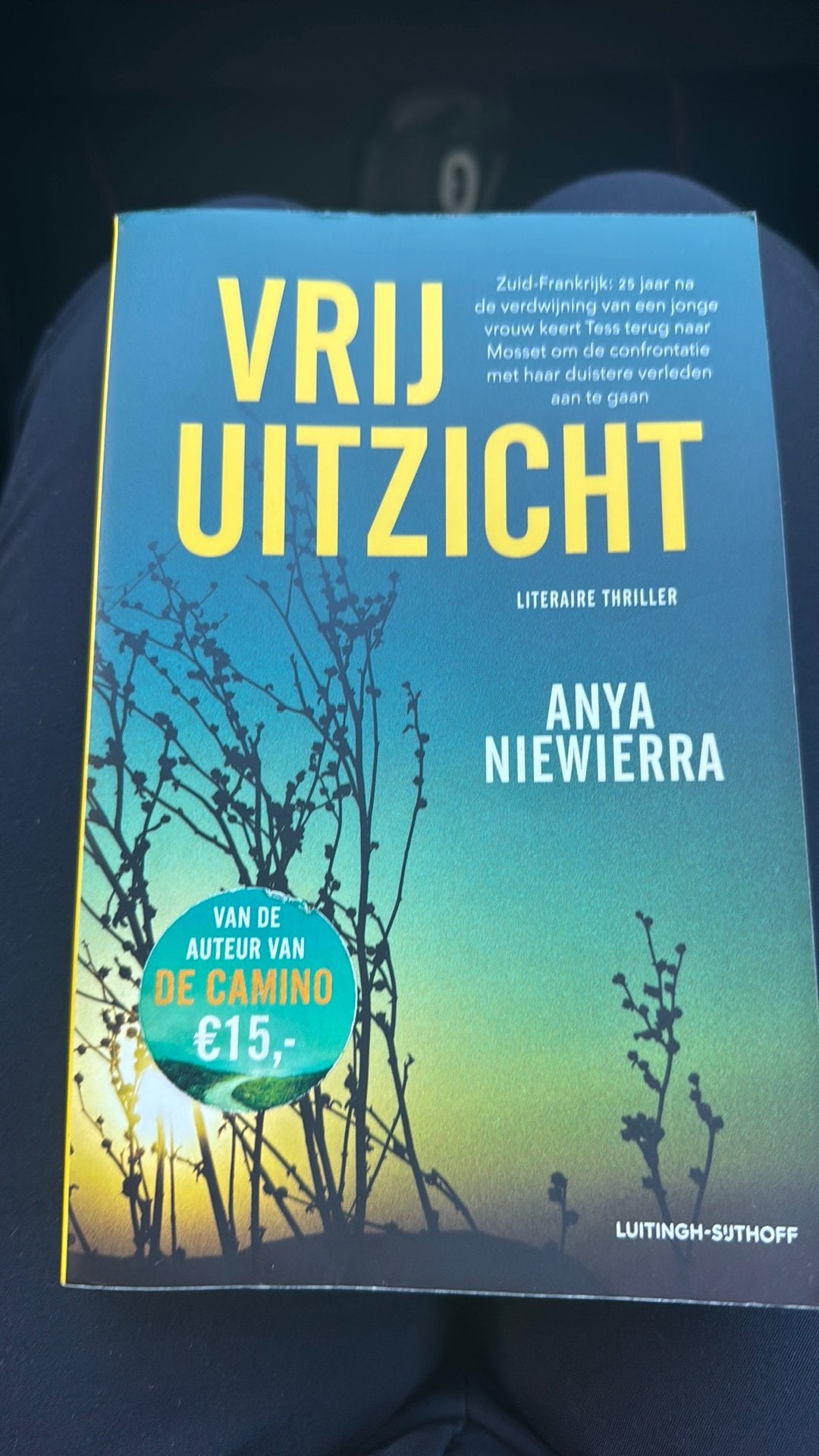 Anya Niewierra - Vrij uitzicht, Boeken, Ophalen of Verzenden, Gelezen, Anya Niewierra