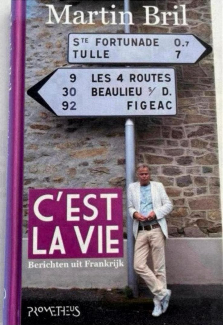 Martin Bril - C'est la vie: Berichten uit Frankrijk, Boeken, Ophalen of Verzenden, Zo goed als nieuw