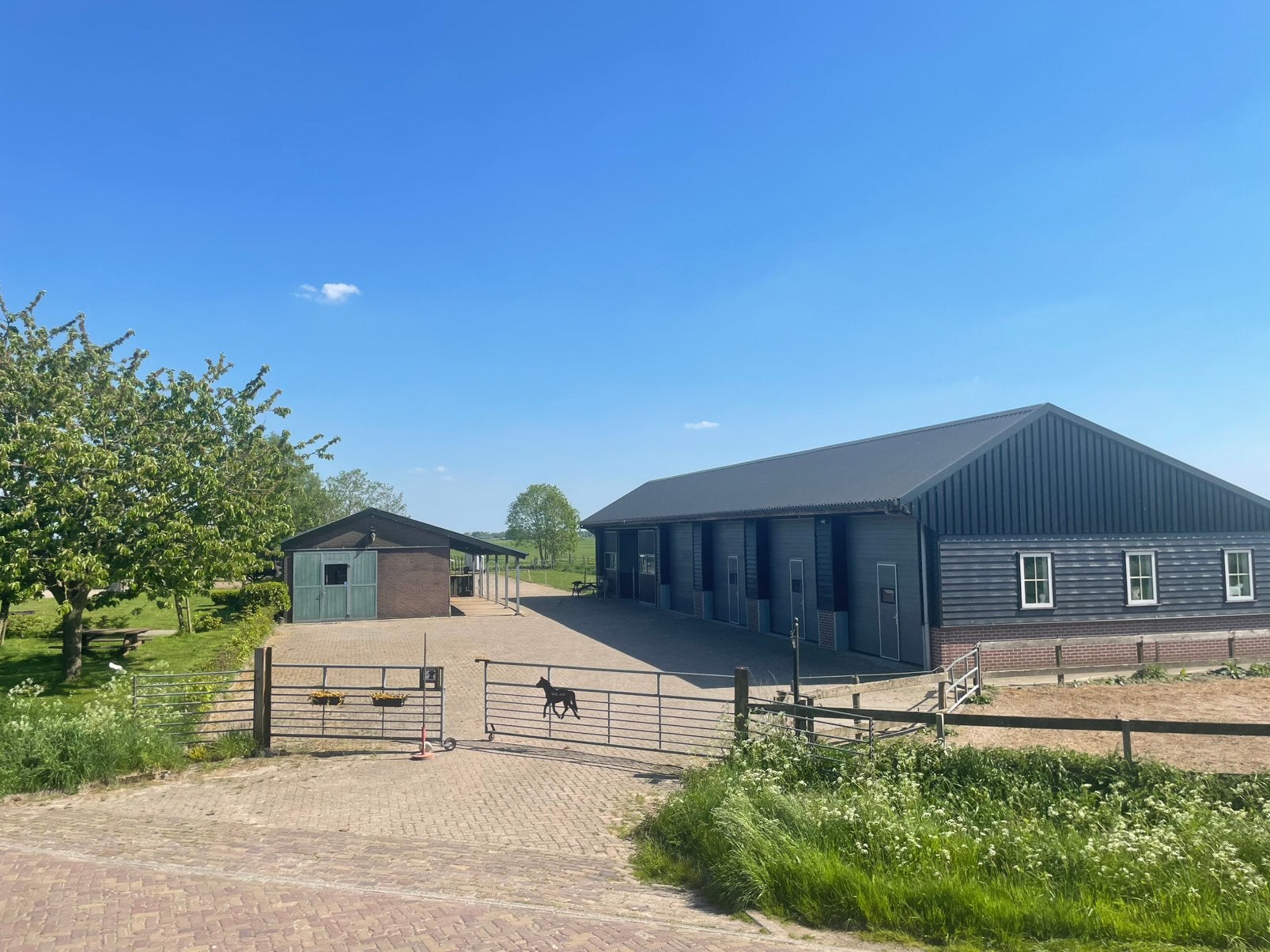 Stalling te huur op een kleinschalige stal!, Dieren en Toebehoren, Weidegang, 2 of 3 paarden of pony's