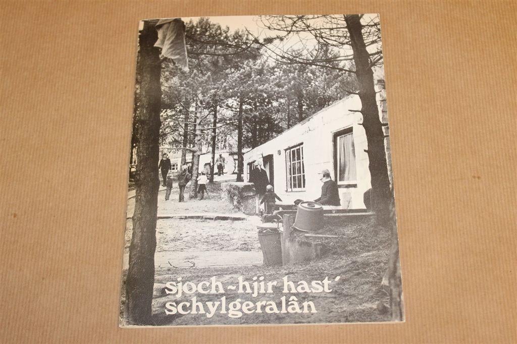 Schylgeralân — Terschelling Fotoboek 1973, Fries, Boeken, Geschiedenis | Stad en Regio, Ophalen of Verzenden, Gelezen