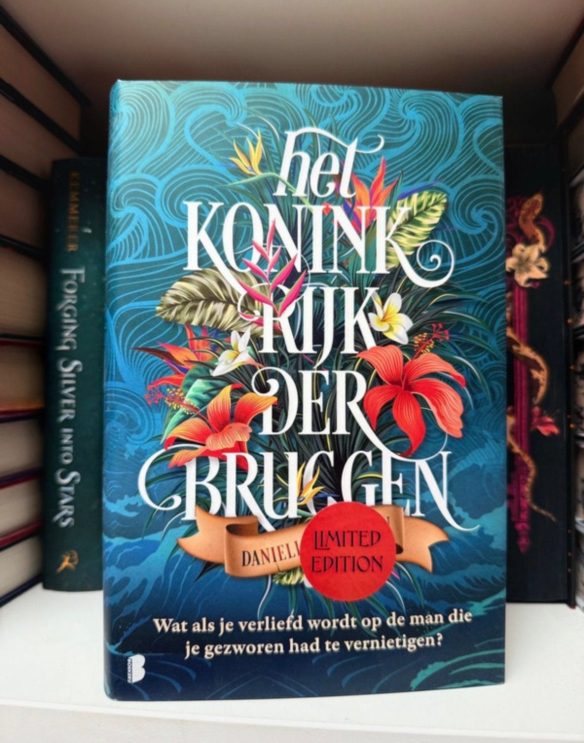 Het Koninkrijk der Bruggen - Limited Edition, Boeken, Fantasy, Ophalen of Verzenden, Zo goed als nieuw