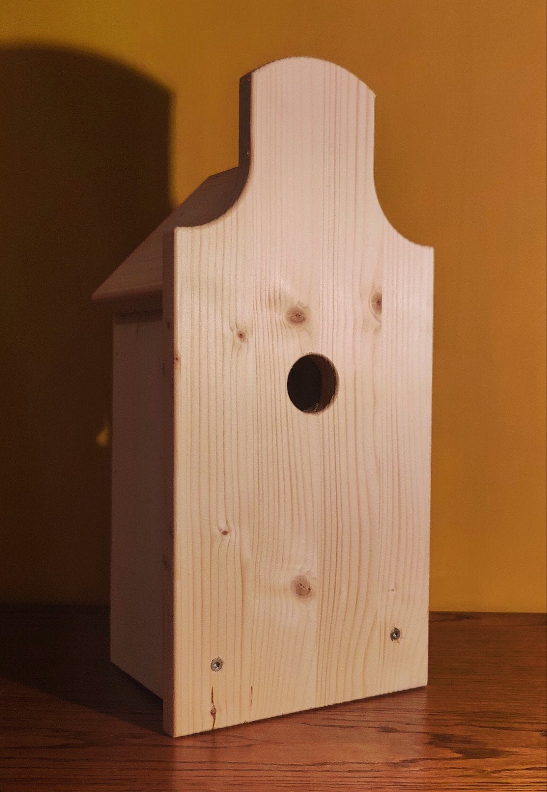 groot vogel huis grachtenpand, Ophalen of Verzenden, Nieuw