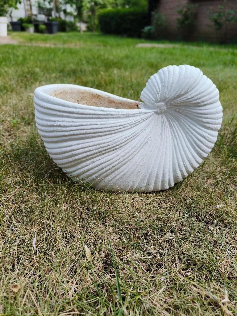 Decoratieve bloempot in schelpvorm, Gebruikt, Minder dan 30 cm, Minder dan 60 cm, Ophalen of Verzenden