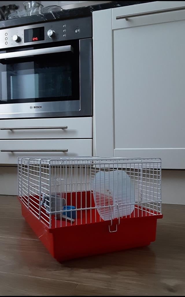 Kleine kooi hok, Ophalen of Verzenden, Kooi