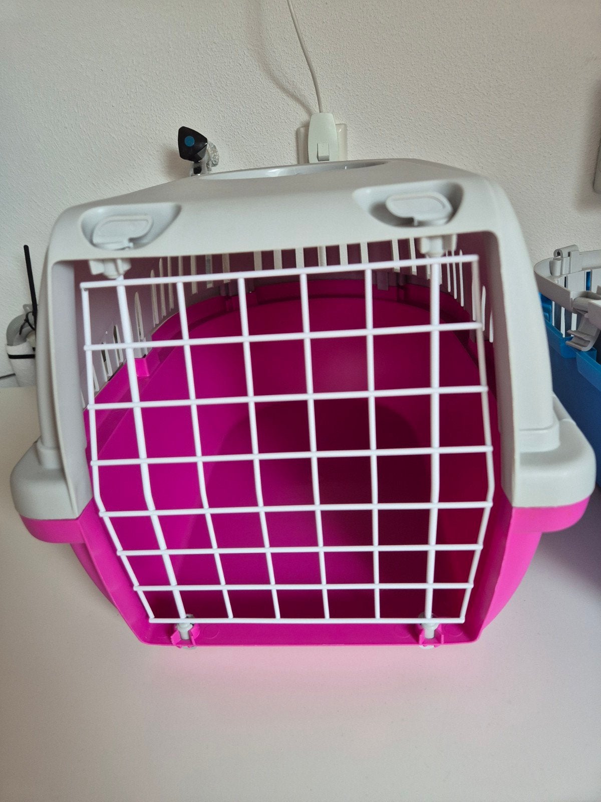 transportbox konijn/kat, Ophalen, Zo goed als nieuw