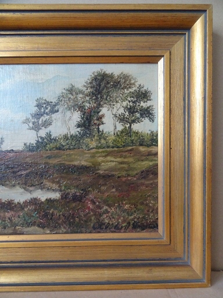 Schilderij C.J.G. Cool-Van Oosten Slingeland Heide bij Rolde, Paneel, Realistisch, Ophalen of Verzenden, Olieverf