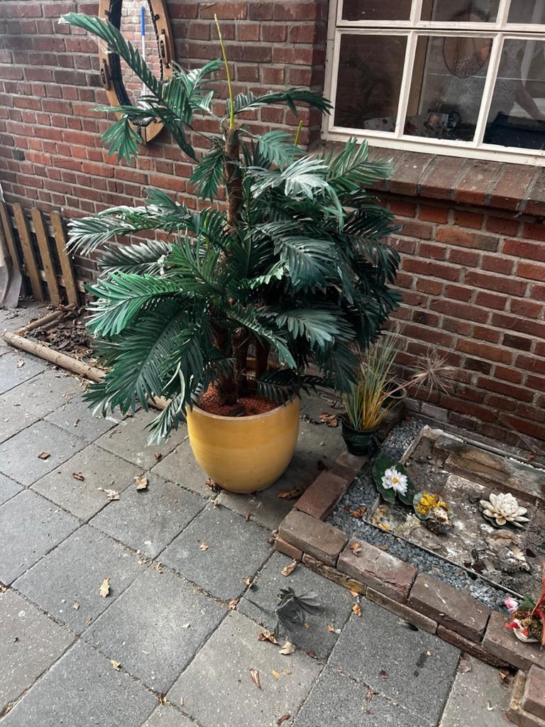 Kunstplant, Tuin en Terras, Planten | Bomen, Bloeit niet, Overige soorten, 100 tot 250 cm, Ophalen