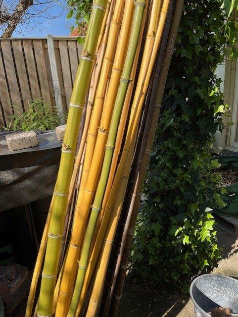 T.E.A.B, Tuin en Terras, Ophalen, Nieuw, Hout, Overige typen