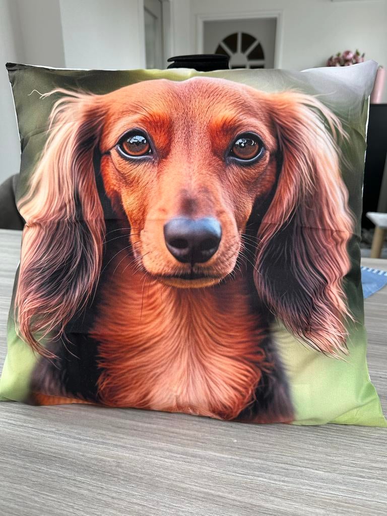 Kussen met prachtige foto van langharige dwergteckel, Ophalen of Verzenden, Nieuw, Rood, Vierkant