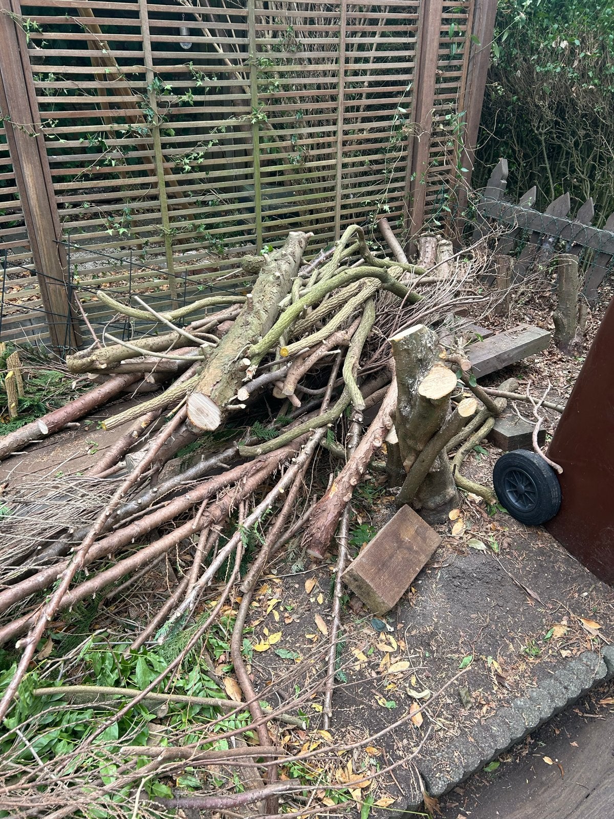 Gratis hout af te halen - Ideaal voor vuurkorf of kachel, Tuin en Terras, Haardhout, Minder dan 3 m³, Ophalen, Overige houtsoorten