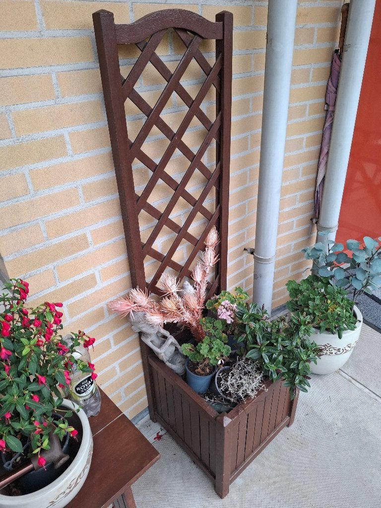 PLANTENREK, Ophalen, Minder dan 30 cm, Vierkant, Zo goed als nieuw