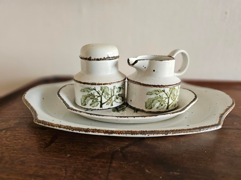 Wedgwood Stonehenge 'Green Leaves' set, Ophalen of Verzenden, Nieuw, Porselein, Overige typen