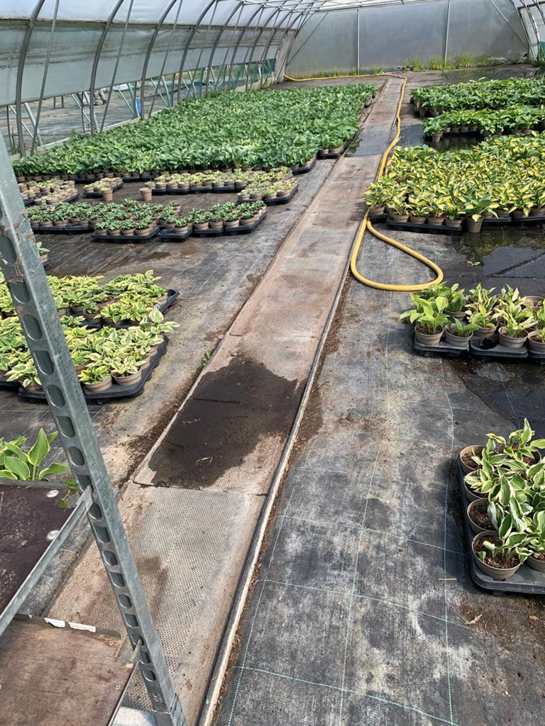 Rijplaten, Tuin en Terras, Ophalen of Verzenden, Zo goed als nieuw, Hout
