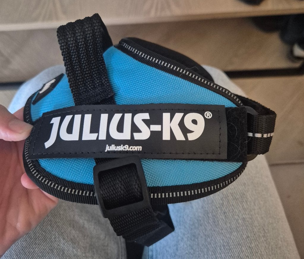 Honden tuigje, Julius-K9, Ophalen of Verzenden, Nieuw, Hondentuig