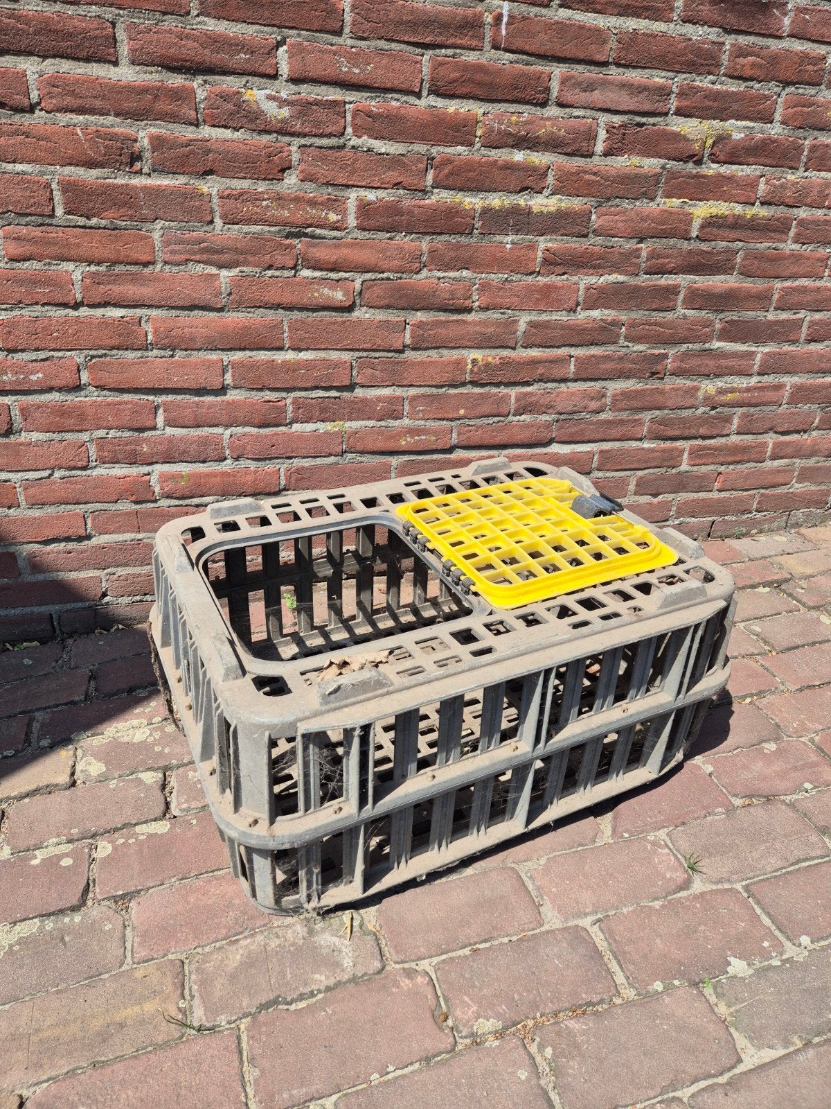 Kippen kratten - pluimveekrat, Ophalen, Gebruikt, Drinken en Voederen