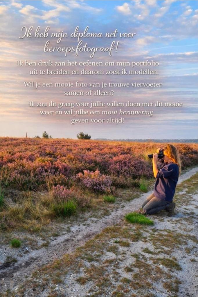 Hobby fotograaf, Ophalen of Verzenden