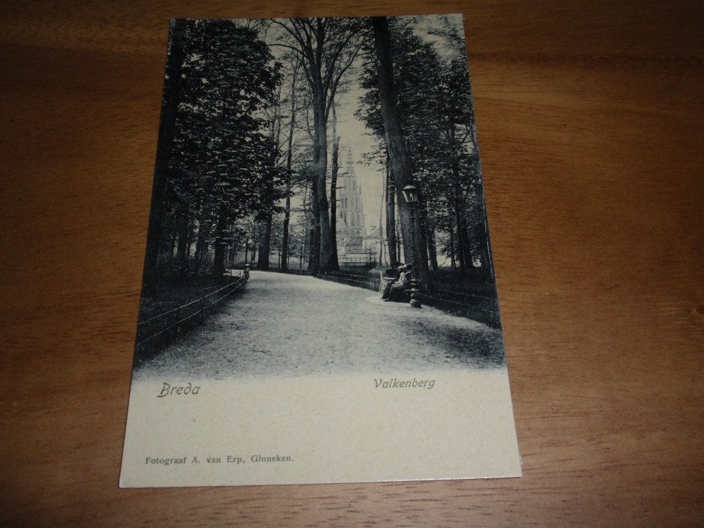 Breda Valkenberg Kerk tussen de bomen door, Verzenden, Voor 1920, Ongelopen, Noord-Brabant