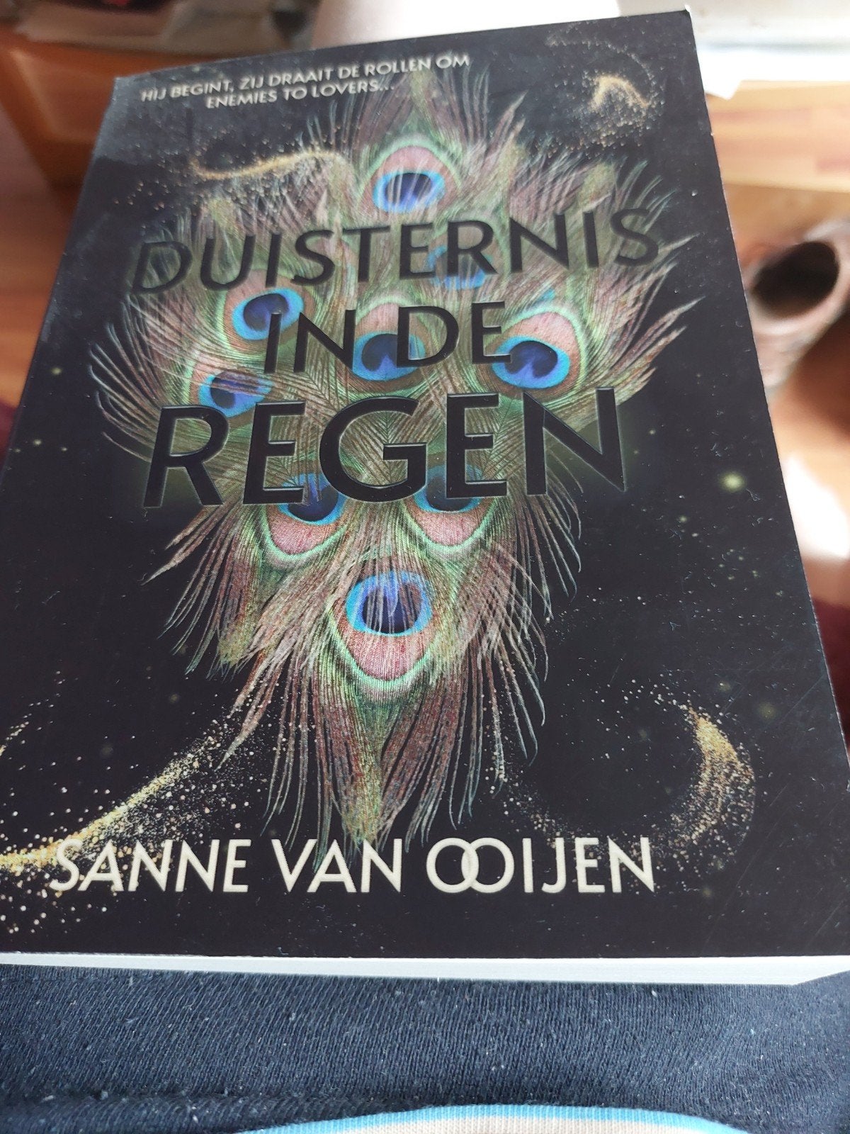 Duisternis in de Regen - Sanne van Ooijen (in goede staat), Ophalen of Verzenden, Zo goed als nieuw, Sanne van Ooijen